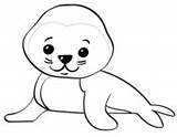 Seal Coloring Cute Cartoon Pages Seals Baby Printable Animals Drawing sketch template