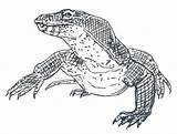 Lizard sketch template