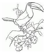 Sulfur Toucan Crested sketch template