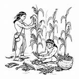 Culturas Agricultura Mayas Pelota sketch template