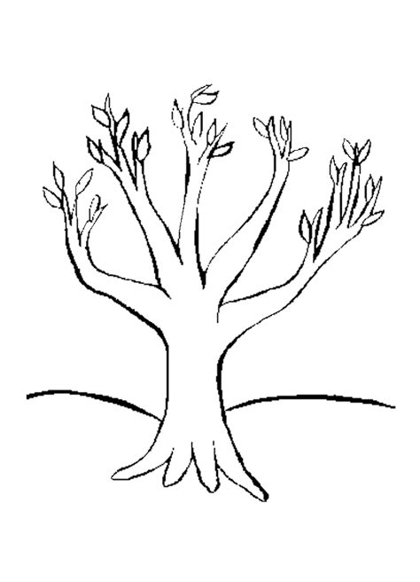 tree trunk coloring page az coloring pages clipart  clipart