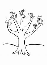 Coloring Trunk Tree Clipartbest Az Pages Clipart sketch template