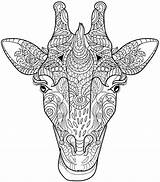 Coloring Pages Animal Animals Adult Adults Giraffe Printable Mandala Advanced Head Color Colouring Books Henna Sheets Getcolorings Sheet Book Print sketch template