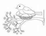 Nest Spring Sparrow Drawing sketch template