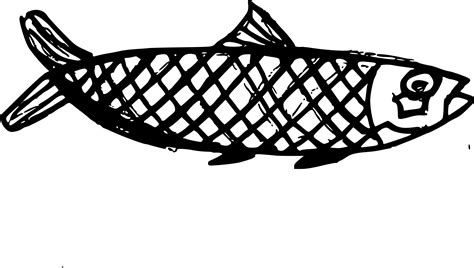 fish drawing png transparent onlygfxcom