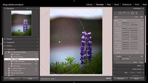 lightroom   radial filter features
