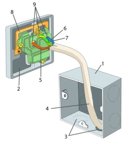 wiring diagram  light socket
