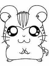 Coloring Hamster Pages Cute Popular Cage Cartoon sketch template