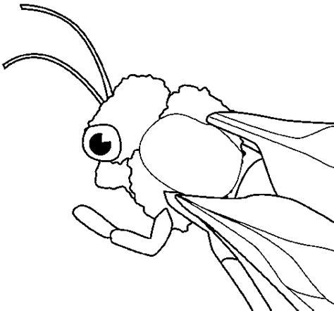 bumblebee coloring page coloringcrewcom