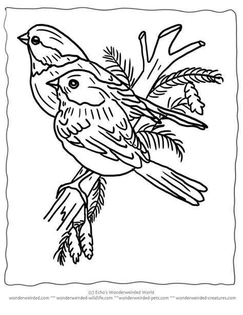 printable christmas coloring pages birds  wonderweirded wildlifecom