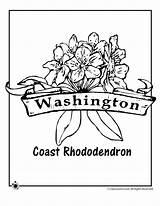 State Washington Coloring Flower Pages Color Printable Print Flag Getcolorings Rhododendron Popular Coast Getdrawings Printables Activities sketch template