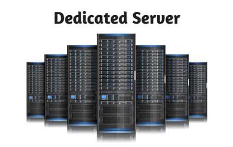 choosing  dedicated server  frisky