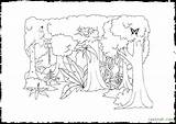 Rainforest Coloring Pages Layers Plants Amazon Drawing Tree Printable Getcolorings Animals Getdrawings Print Template sketch template