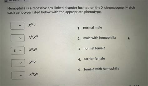answered hemophilia is a recessive sex linked… bartleby
