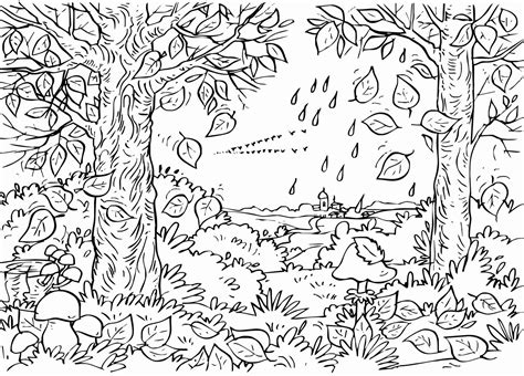 fall coloring pages  adults  coloring pages  kids