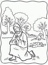 Praying Gethsemane Prays Misterios Worksheets Desenhos Colorir Dolorosos Semana Crucificado Azotado 1st Painting Oraciones Rosario Solve Tutor Coloringhome sketch template