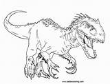 Indominus Colorare Realistic Coloriage Ausmalbilder Whitesbelfast Dinosaurs Tyrannosaurus Dinosaurier Dinosaure Colorier Sheets Malvorlagen Velociraptor Zeichnung Mosasaurus Carnivore sketch template