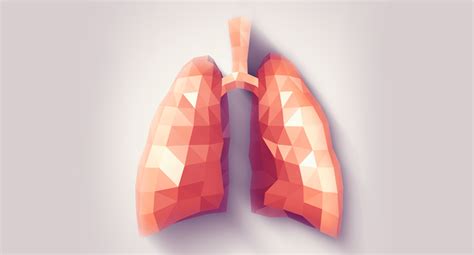 Racgp The Right Time To See Patients With Lung Conditions Before Winter