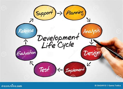 development life cycle stock photo image  assurance
