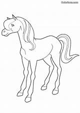 Horseland Coloring Pages Alma Library Cartoons Popular Clipart Books sketch template