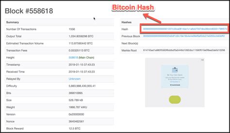 bitcoin hashing hash functions explained simply