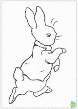 Rabbit Peter Coloring Popular sketch template