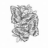 Vlinders Kleurplaat Kleurplaten Vlinder Leukvoorkids Kleuren sketch template