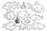 Coloring Sea Pages Animals Creatures Fish Animal Color Kids Life Ocean Azcoloring Popular Small sketch template