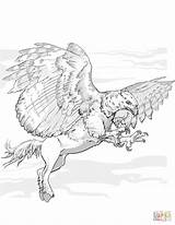 Coloring Pages Hippogriff Griffin Dnd Griffon Centaur Printable Getdrawings Excellent Dragons Dungeons Colorings Color Sketch Template Categories Drawing sketch template