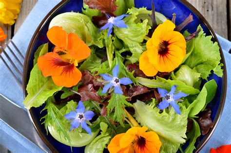 real food encyclopedia edible flowers foodprint