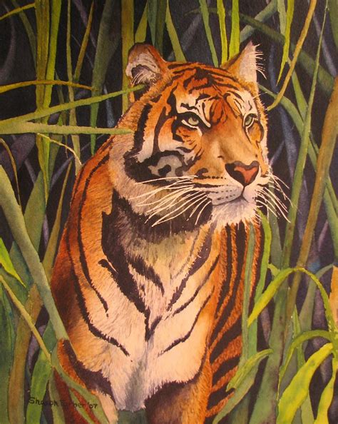 tiger watercolor painting photo  sharon farbers    flickr