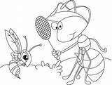 Ant Coloring Mosquito Kids sketch template