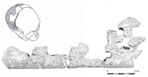 trophy skulls provide  clues  explaining  collapse   maya