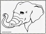Kepala Gajah Mewarnai Kartun Ayomewarnai Kucing Sketsa Pilihan Binatang sketch template