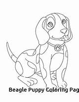 Beagle Coloring Pages Beagles Printable Puppy Kids Worksheets Colouring Sad Getdrawings Getcolorings Dkidspage Color Print sketch template