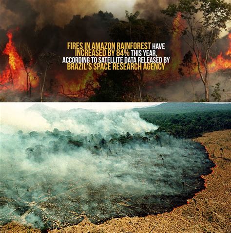 amazon rainforest burning