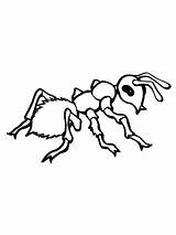 Ant Formica Ameise Hormigas Realistica Ameisen Ausmalen Ausmalbild Malvorlage Cicala Formiche Supercoloring Ants Precious Ispirazione Categorie Dots Clipartmag Dot sketch template