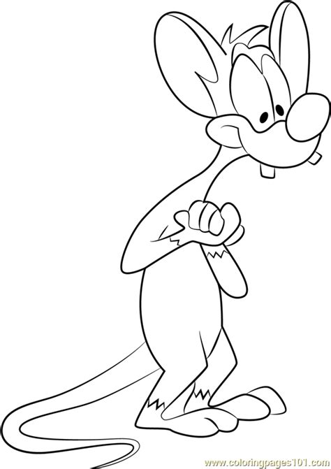 Pinky Coloring Page Free Animaniacs Coloring Pages