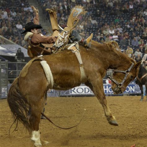 time bull riding champ harris chute ing  elusive rodeohouston win