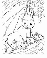 Coloring Bunny Rabbit Pages Baby Bunnies Drawing Cute Color Colouring Kids Printable Clipart Lapin Print Draw Rabbits Coloriage Jack Colorier sketch template