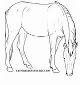 Coloring Mustang Pages Mare Horse Printable Horses Colouring Kids Supercoloring Version Click Lineart Drawing Super Designlooter Cute Drawings Paarden Deviantart sketch template
