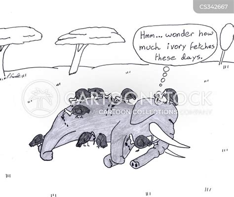 serengeti cartoons and comics funny pictures from
