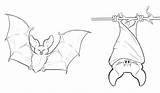 Bat Coloring Printable Pages Bestcoloringpagesforkids Via sketch template
