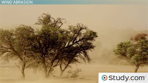 wind action effects   desert landscape video lesson transcript studycom