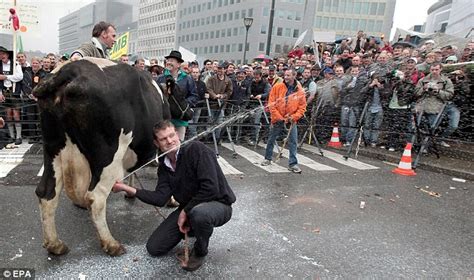 Cow About That Belgian Farmers Squirt Riot Police With Milk In