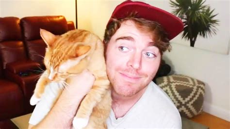 shane dawson i ve never done anything weird with my cats inside