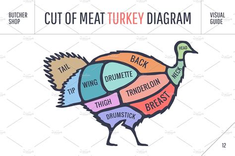 cut  meat set poster butcher diagram scheme turkey illustrations creative market