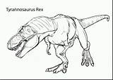 Kleurplaat Tyrannosaurus Dinosaurus Jurassic Downloaden sketch template