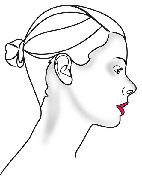 female face outline    clipartmag