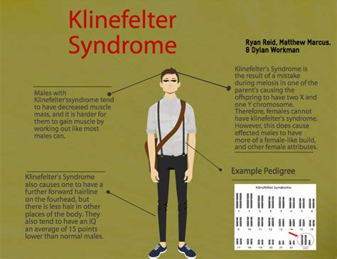 Sources Condition Klinefelter Syn